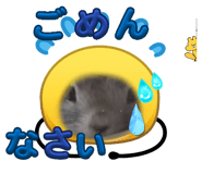 845035302