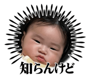 845035445