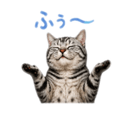 845035700