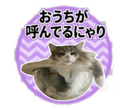 845035730