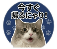 845035734
