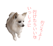 845035738