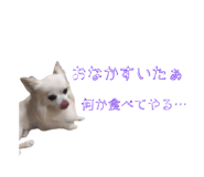 845035739
