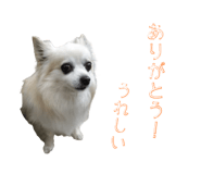 845035742