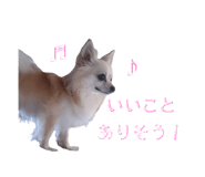 845035743