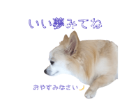845035746