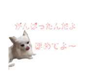 845035747