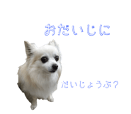 845035748
