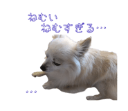 845035749