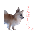 845035750