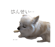 845035752