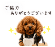 845035786