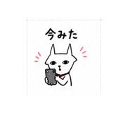 845037115