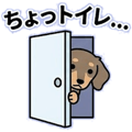 845037486