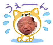 845038156