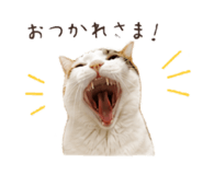 845039332