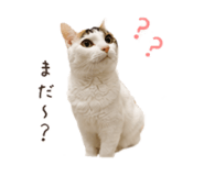 845039340