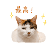 845039341