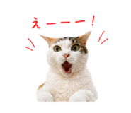 845039342