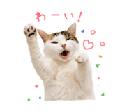 845039343