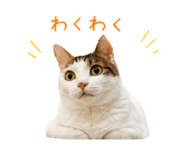 845039346