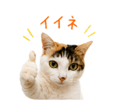 845039347