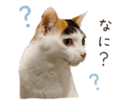 845039362