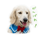 845039498