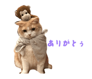 845039510