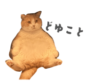845039511