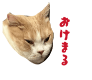 845039513