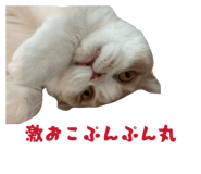 845039516