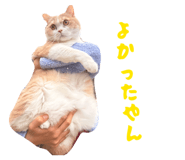 845039517