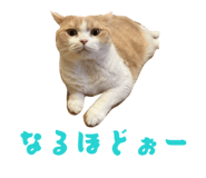 845039523