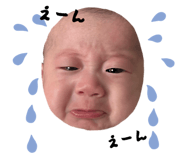 845039544