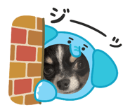 845039642