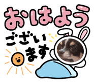 845039654
