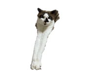 845039810