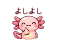 845040030
