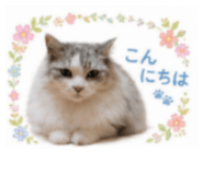 845040043