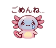 845040090