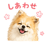 845040302
