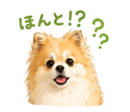 845040303