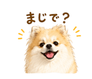 845040304