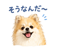 845040305
