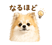 845040306