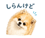 845040307