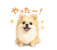 845040313