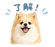 845040319