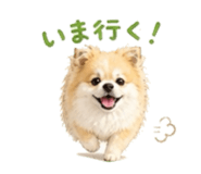 845040322